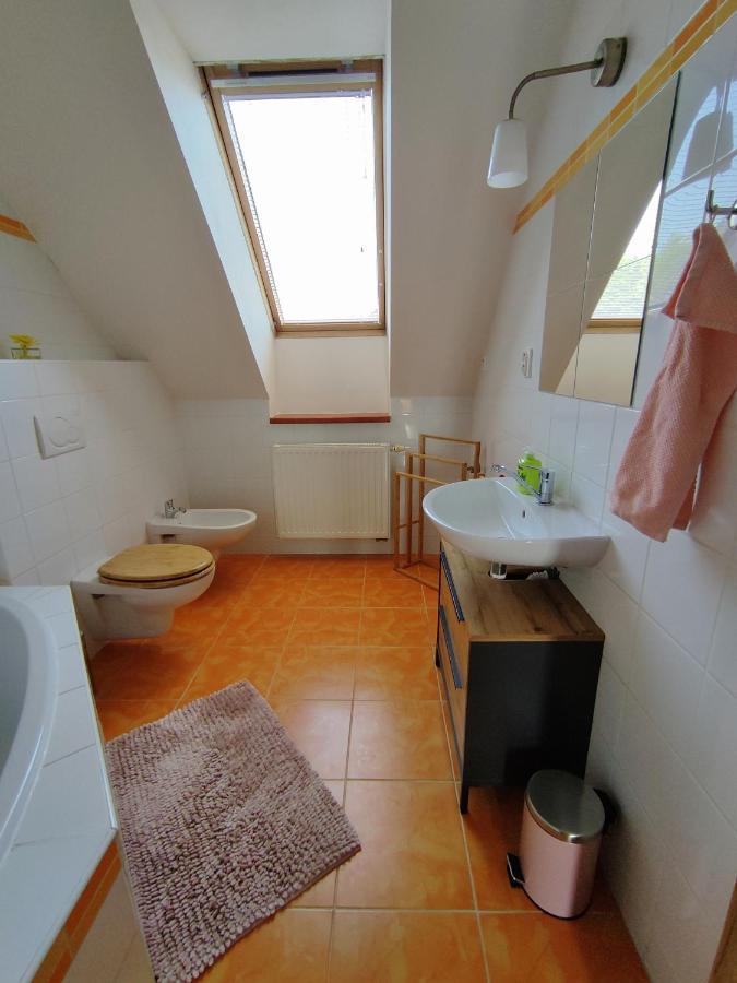 Appartement Ubytovani Ema à Valtice Extérieur photo